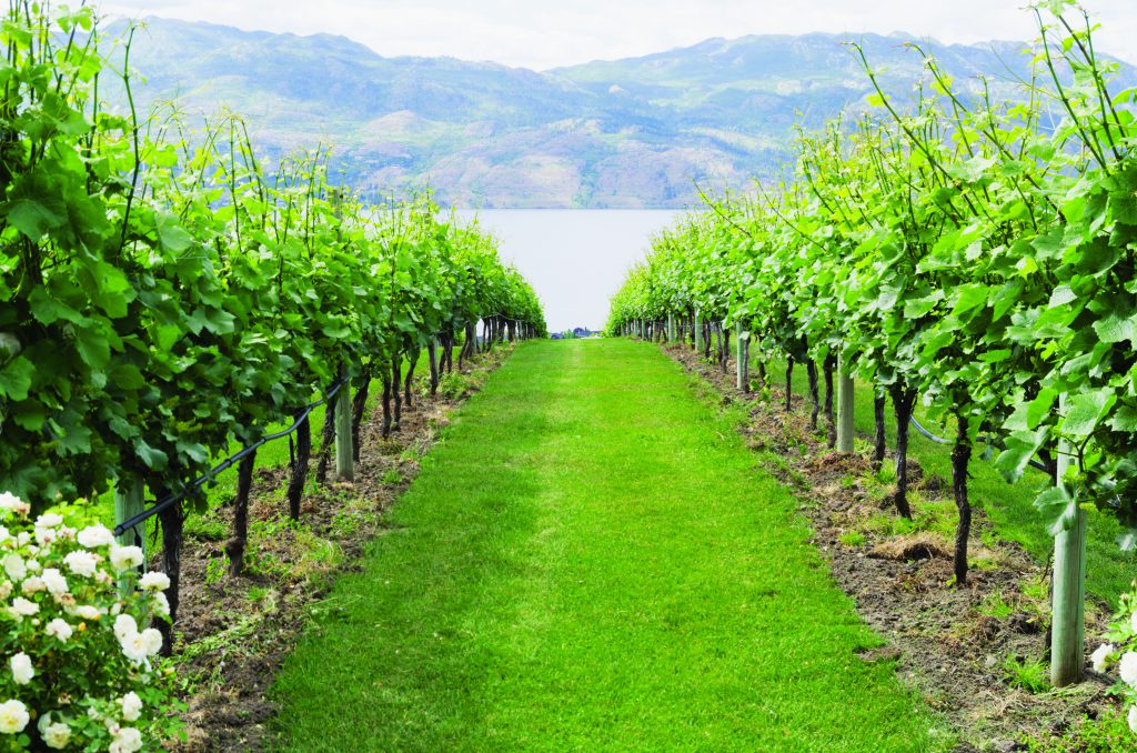 Berlineaton BC Investment Agriculture Foundation BC Investment