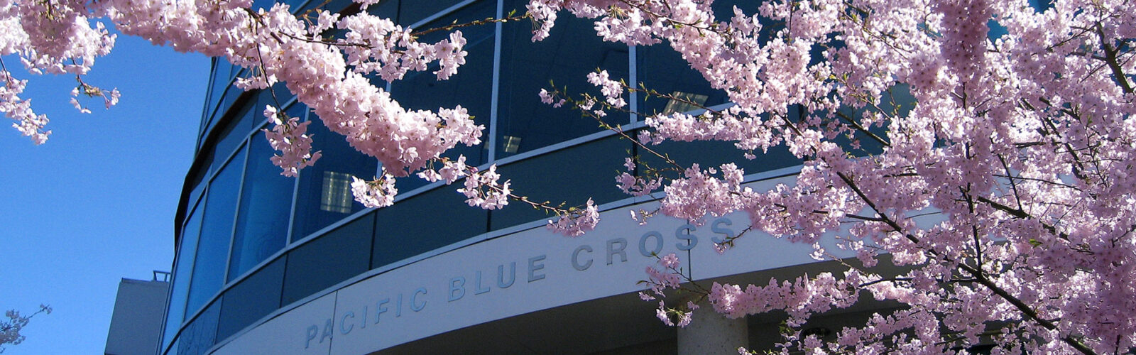 Berlineaton Pacific Blue Cross BC Investment Management Corporation